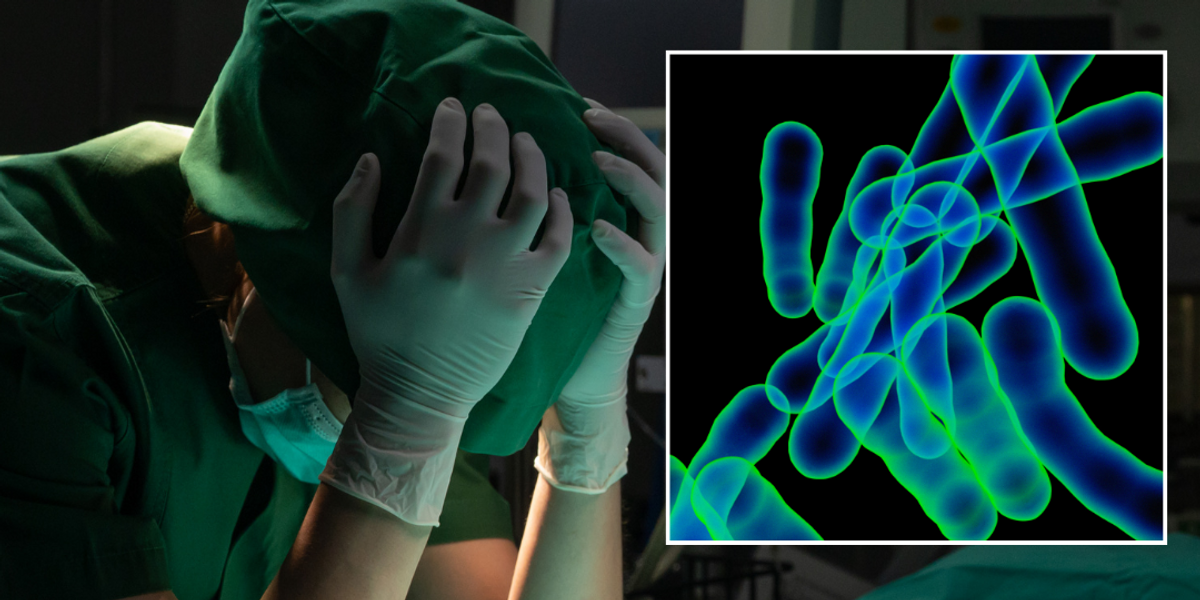 NextImg:World's most deadly infection highest it has been in a decade... and researchers BLAME structural racism