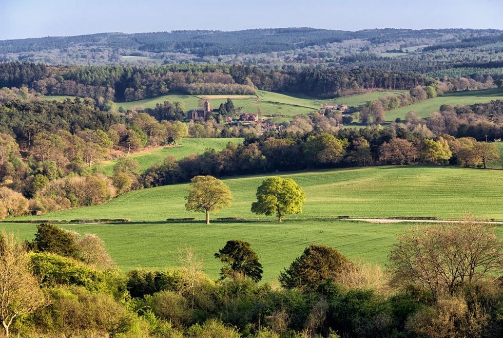 Surrey countryside