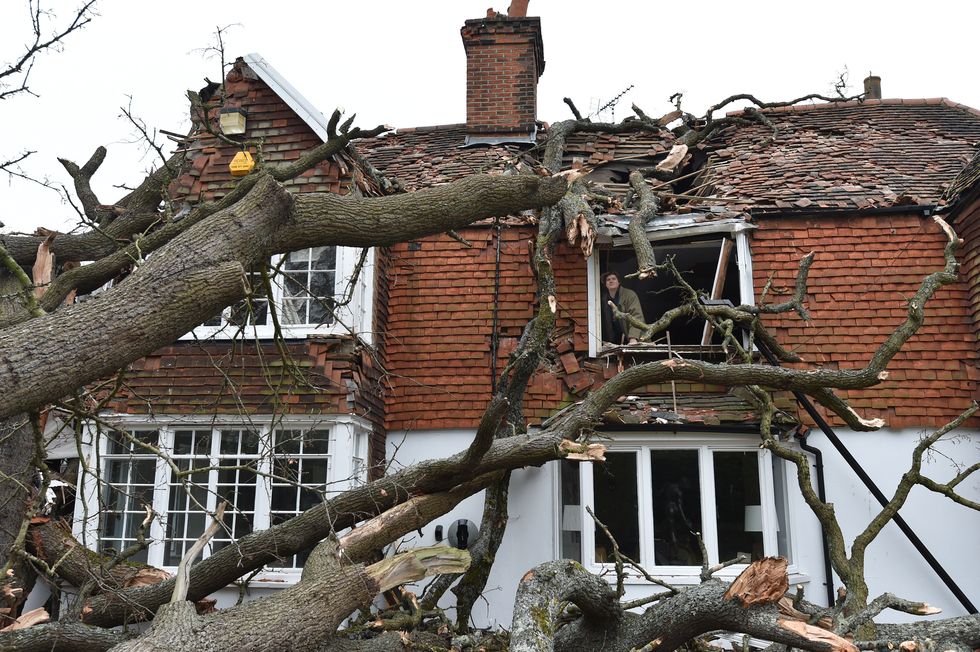 Sven Good, 23, looks out from his bedroom window at the damage caused to the family family home in Stondon Massey, near Brentwood, Essex, after a 400-year-old oak tree in the garden was uprooted by Storm Eunice.