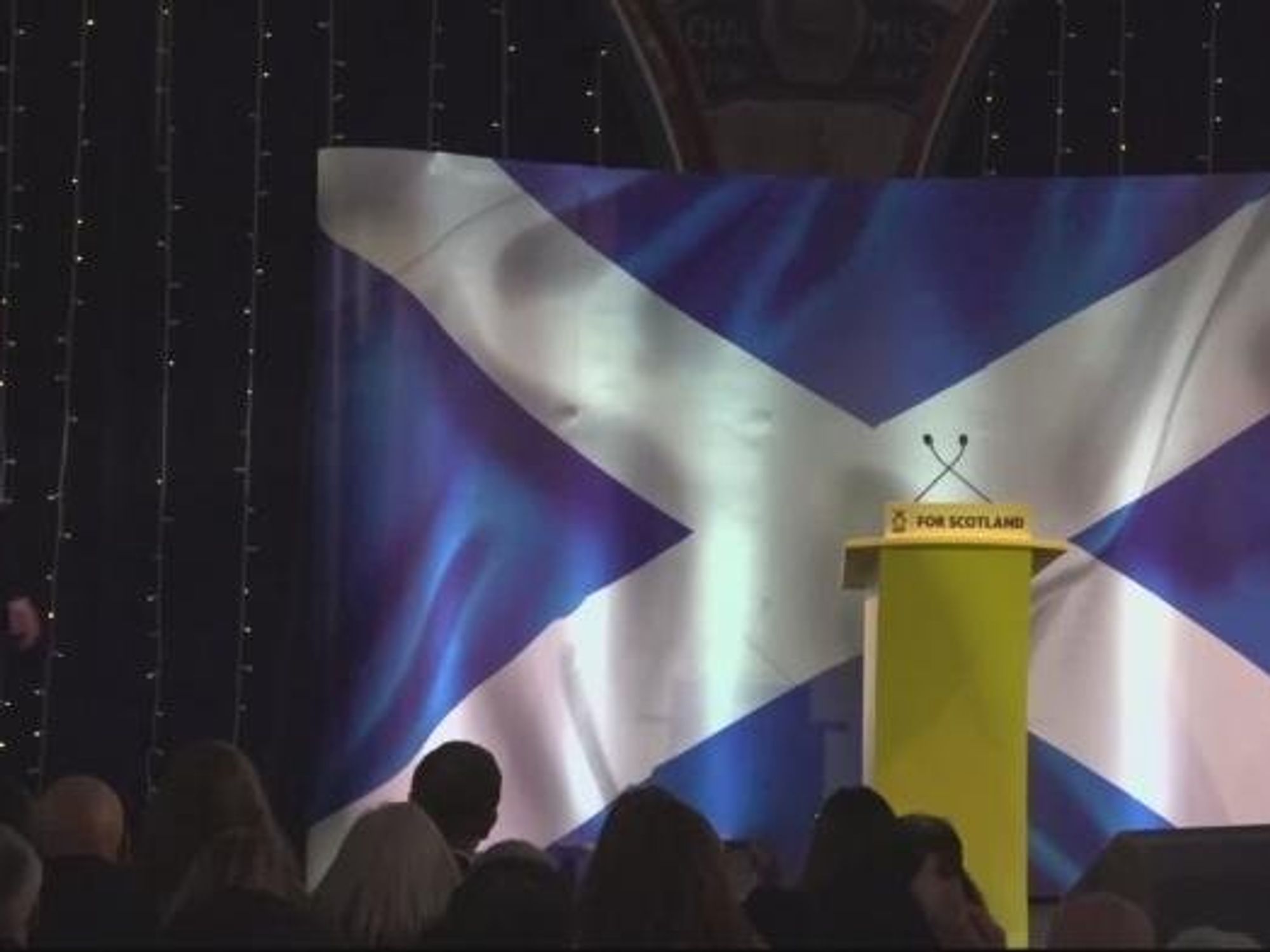 Renewed calls to bring back extinct big cat as public consultation launches amid surging support