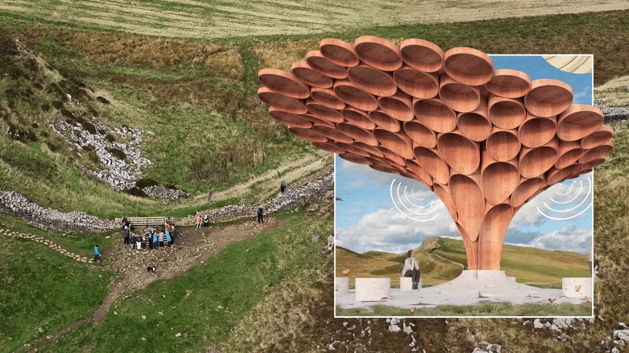 Sycamore Gap tree and its sculpture