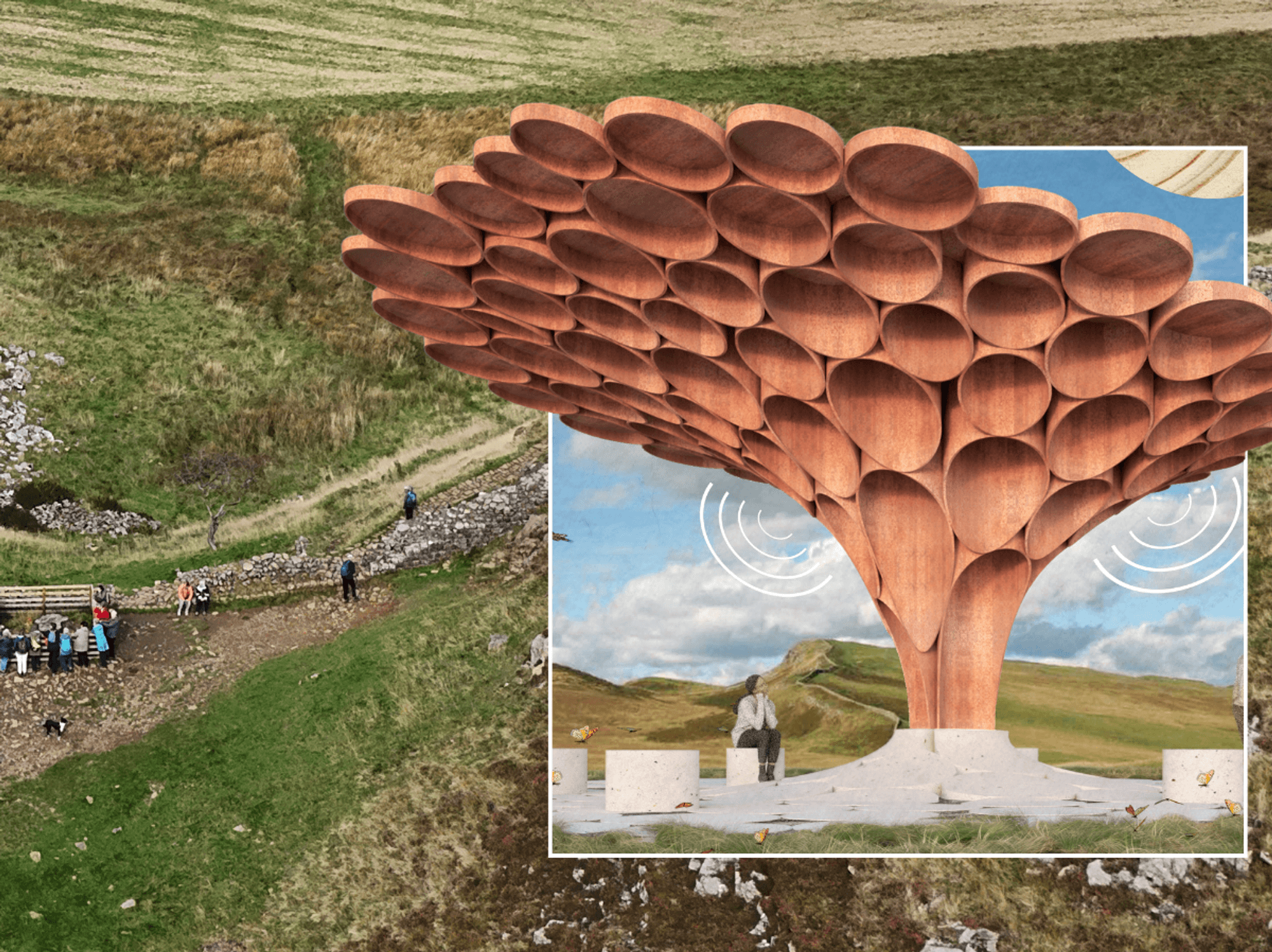 Sycamore Gap tree and its sculpture