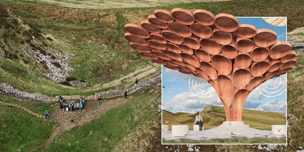 Sycamore Gap tree will be turned into ‘people’s tree’ sound sculpture Sycamore Gap tree will be turned into ‘people’s tree’ sound sculpture
