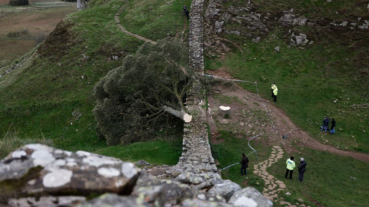 Sycamore Gap