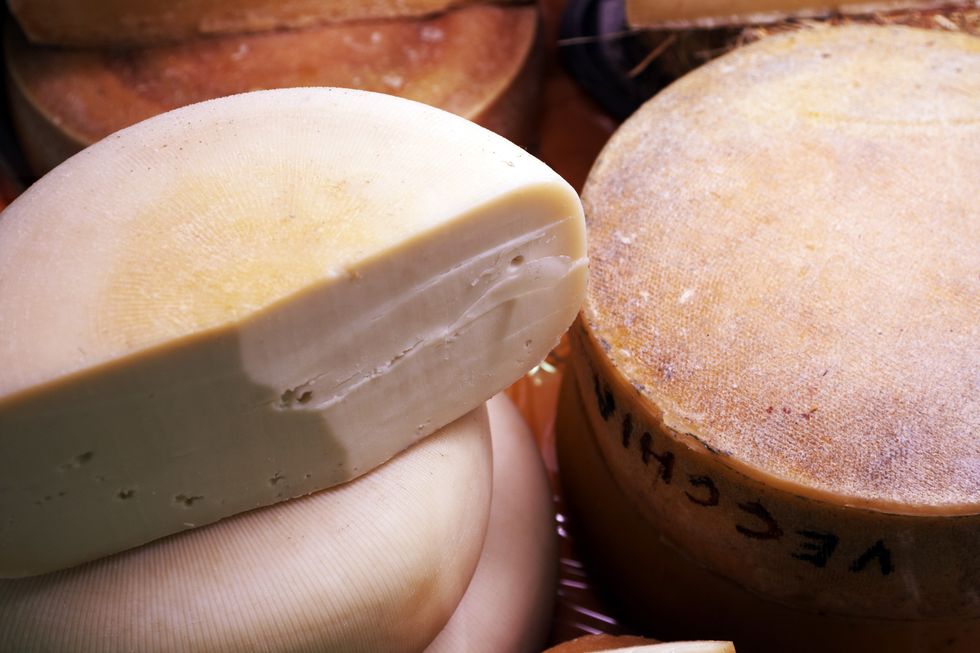 taleggio cheese wheels