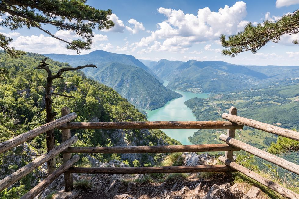 Tara National Park, Serbia