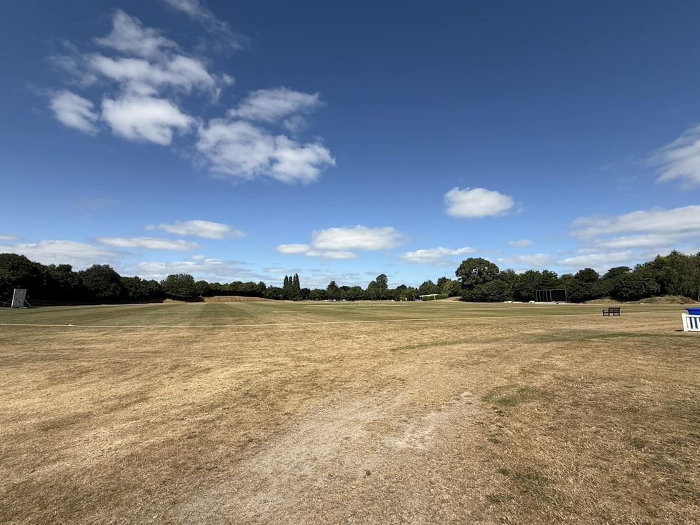 Taunton Vale Sports Club
