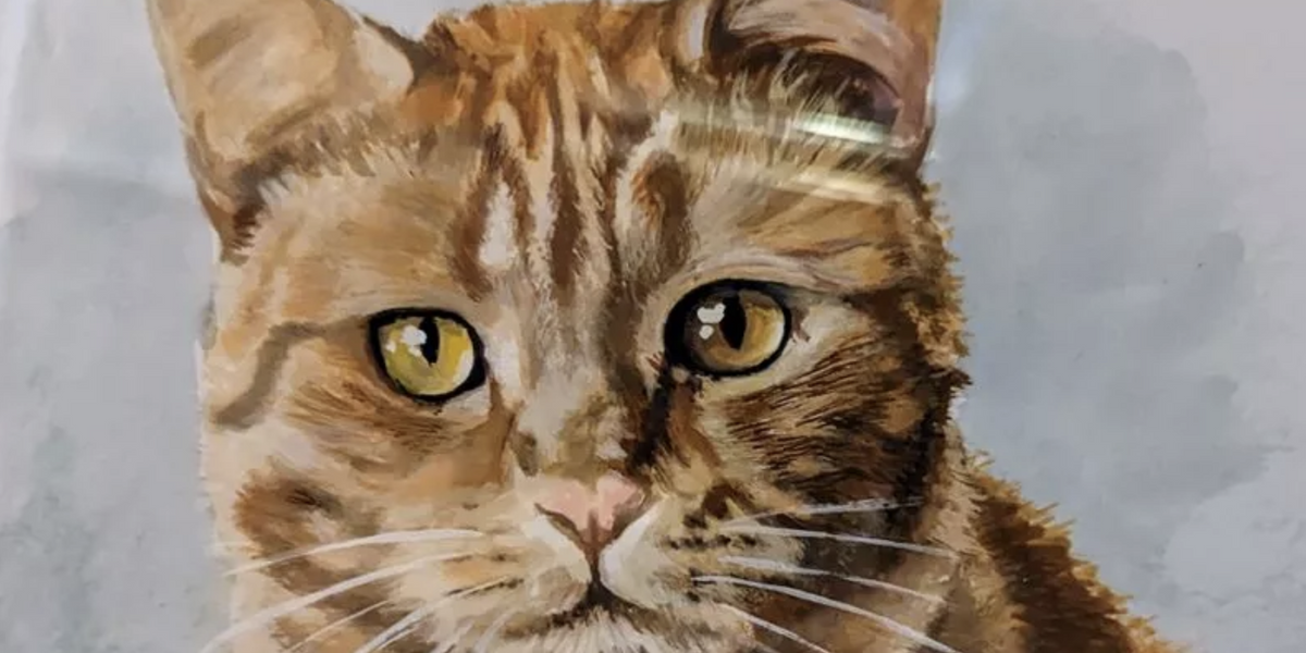NextImg:Sunderland news: Man jailed after throwing cat at grandma's door in 'angry rage' over football