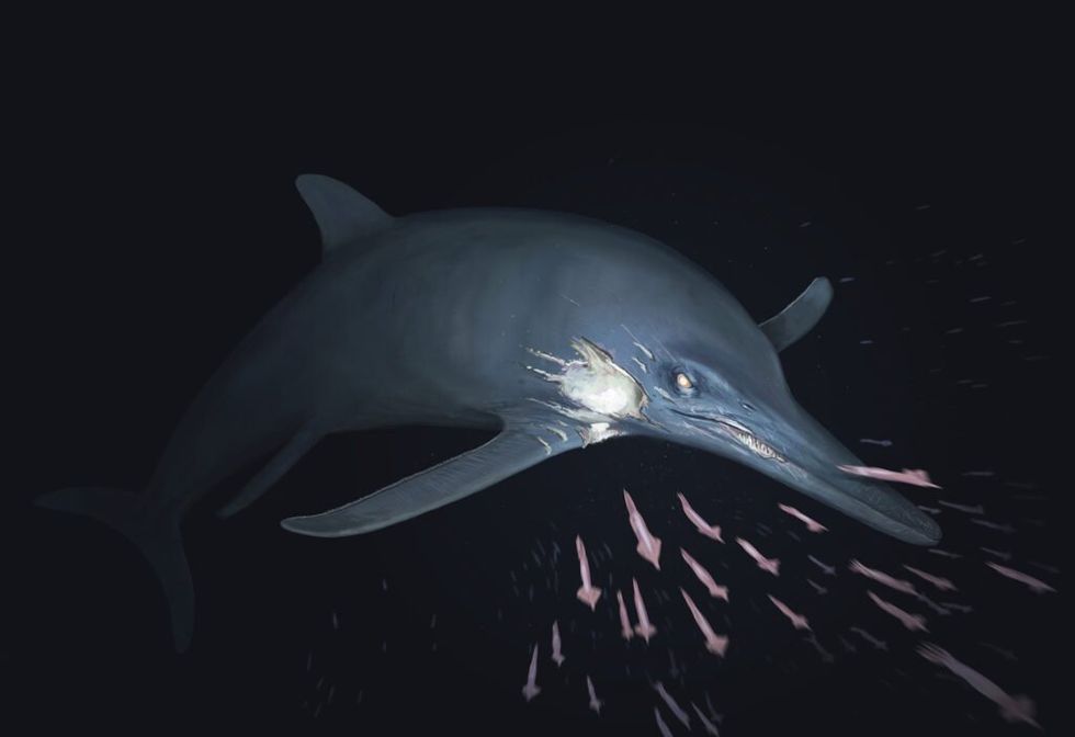 Temnodontosaurus