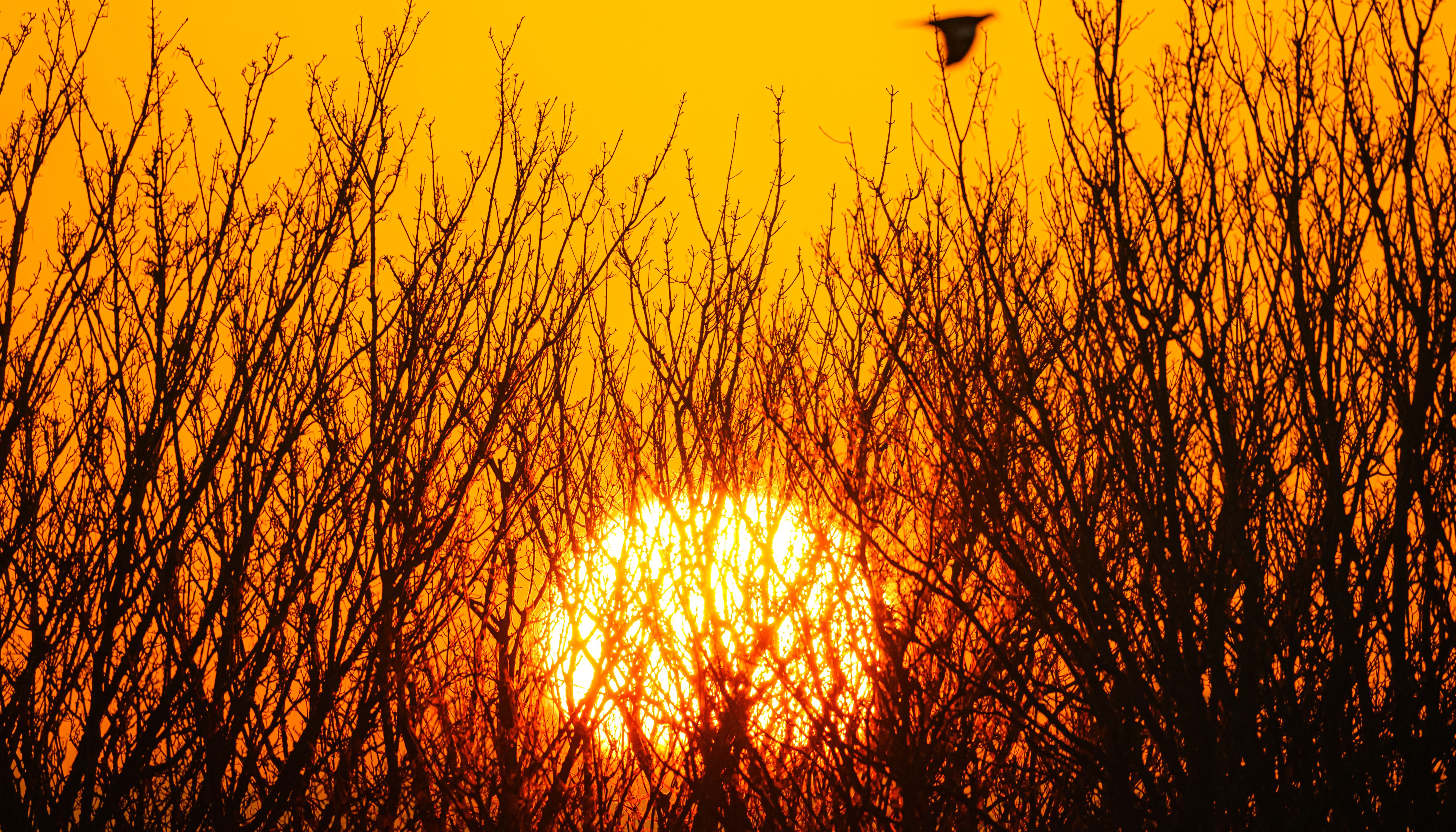 Temperatures are expected to reach 22C this weekend