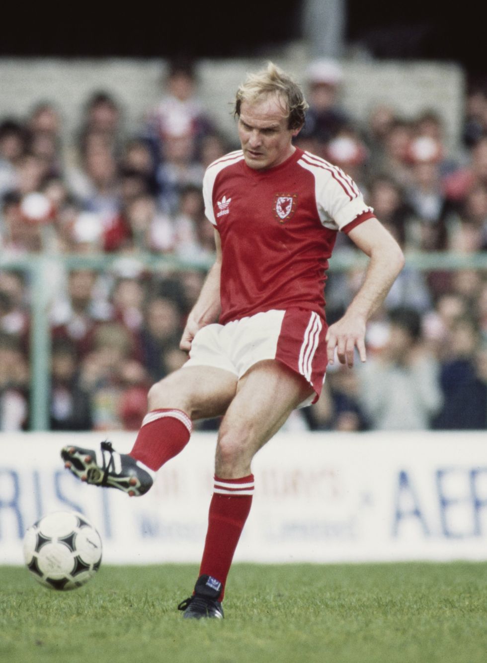 Terry Yorath