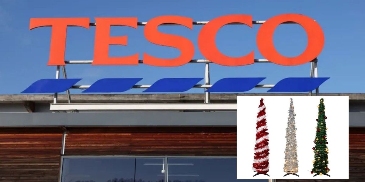 NextImg:Tesco brings back popular pop-up, pre-lit and pre-decorated Christmas tree