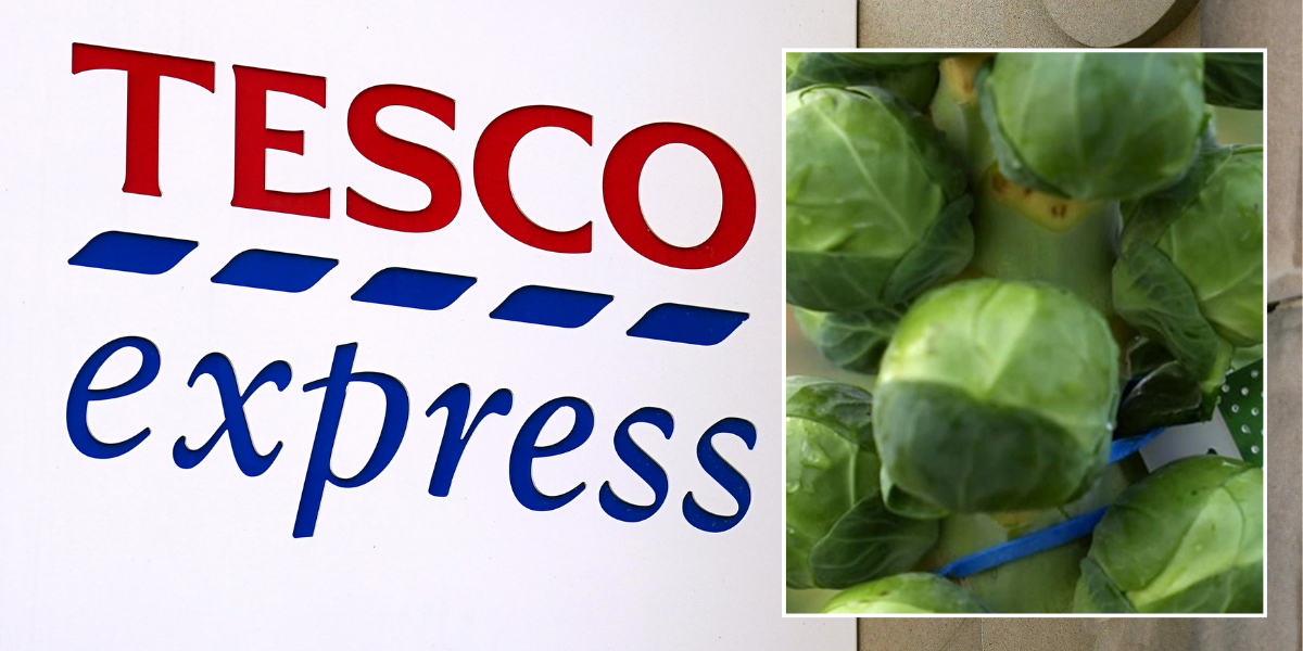 NextImg:Tesco shares big change in its Brussels sprouts this year - 25% bigger and 'noticeably tastier'