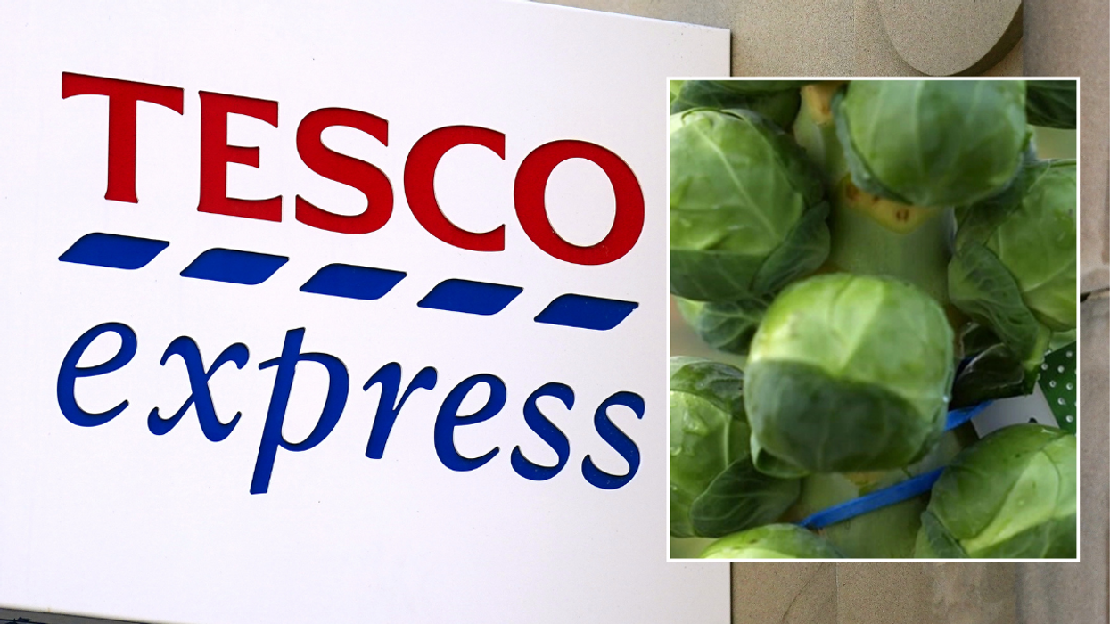 Tesco store / Brussels sprouts