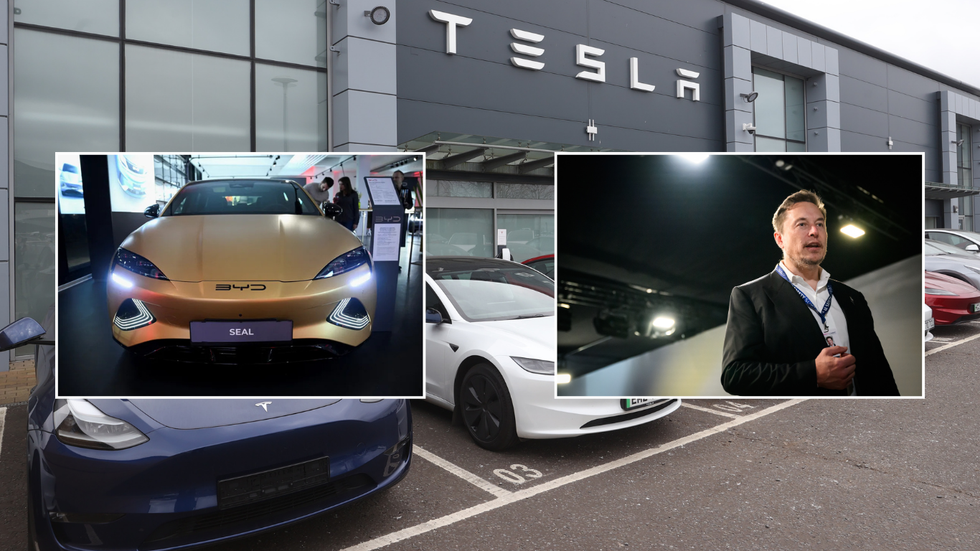 Tesla car shop and Elon Musk and BYD vehicle