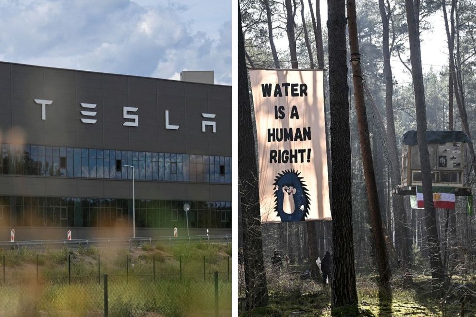 Tesla factory and forest protest