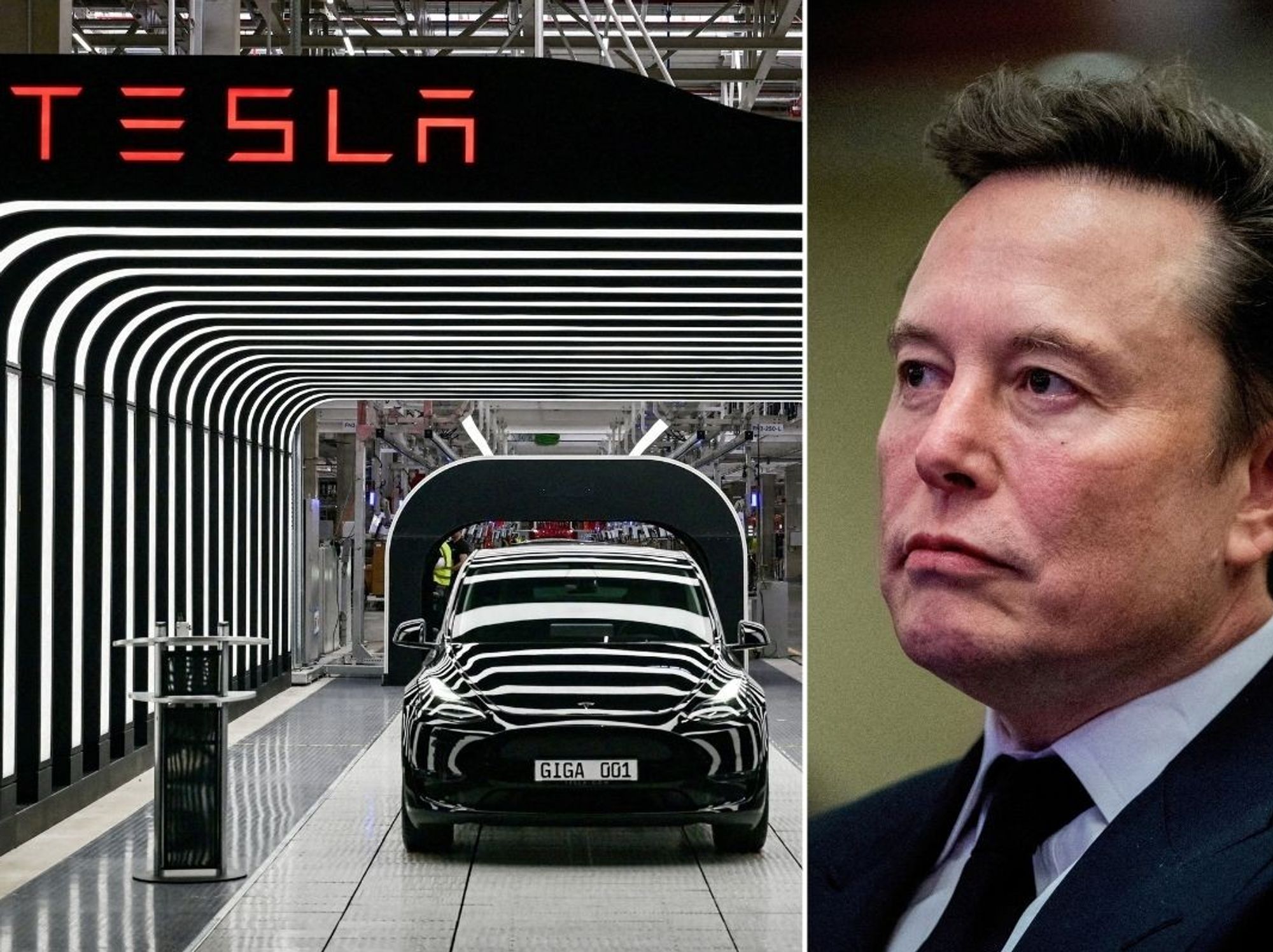 Tesla Giga Berlin and Elon Musk