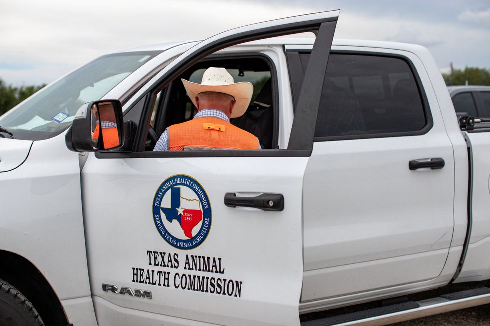 Texas Animal Health Commission car