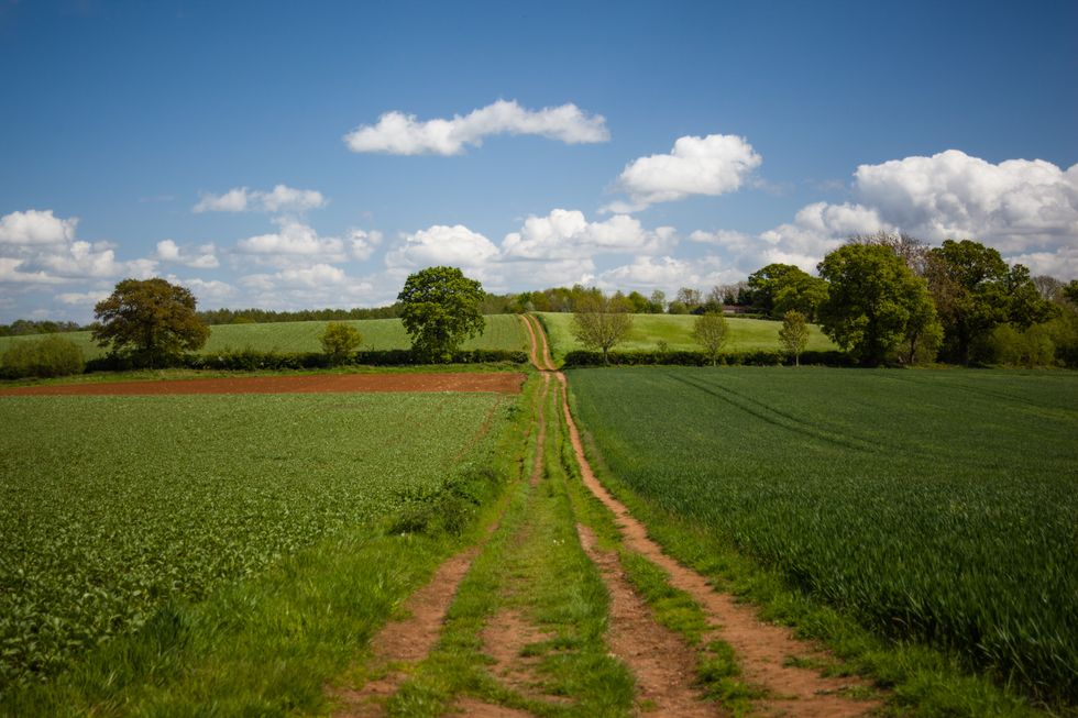 Thame countryside