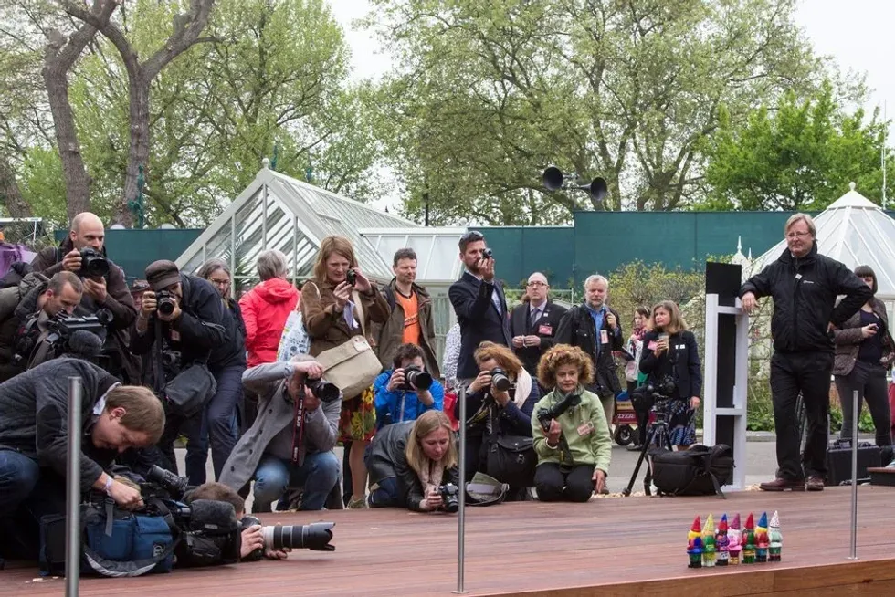 The 2013 Chelsea Flower Show