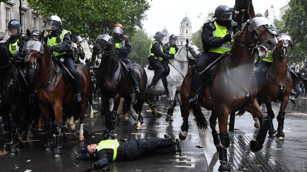 The 47-year-old was thrown from the horse during the protests