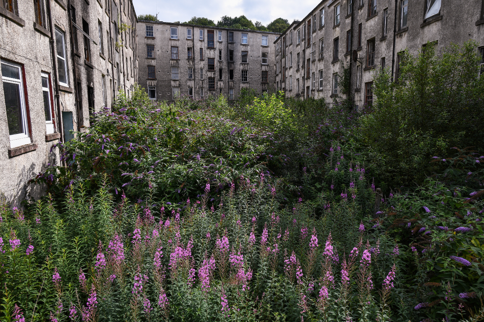 The abandoned housing estate in Port Glasgow