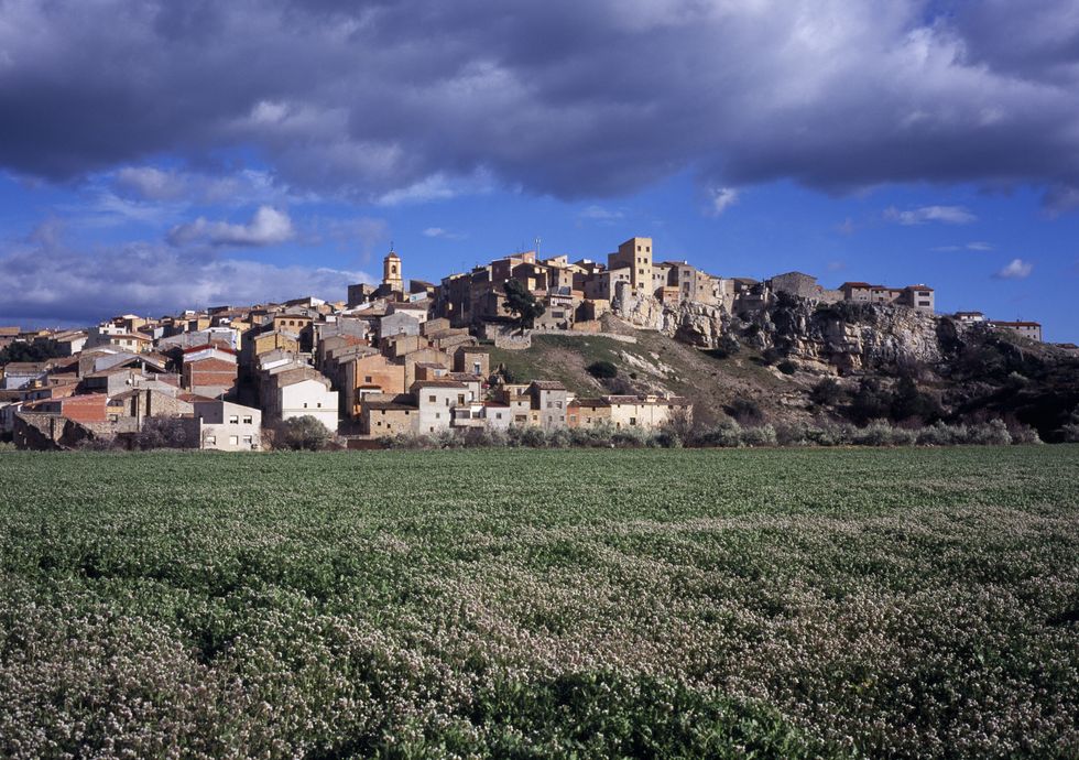 The accident occurred at 7.30am when the victim was visiting the tower of a church in El Pinell de Brai, Tarragona