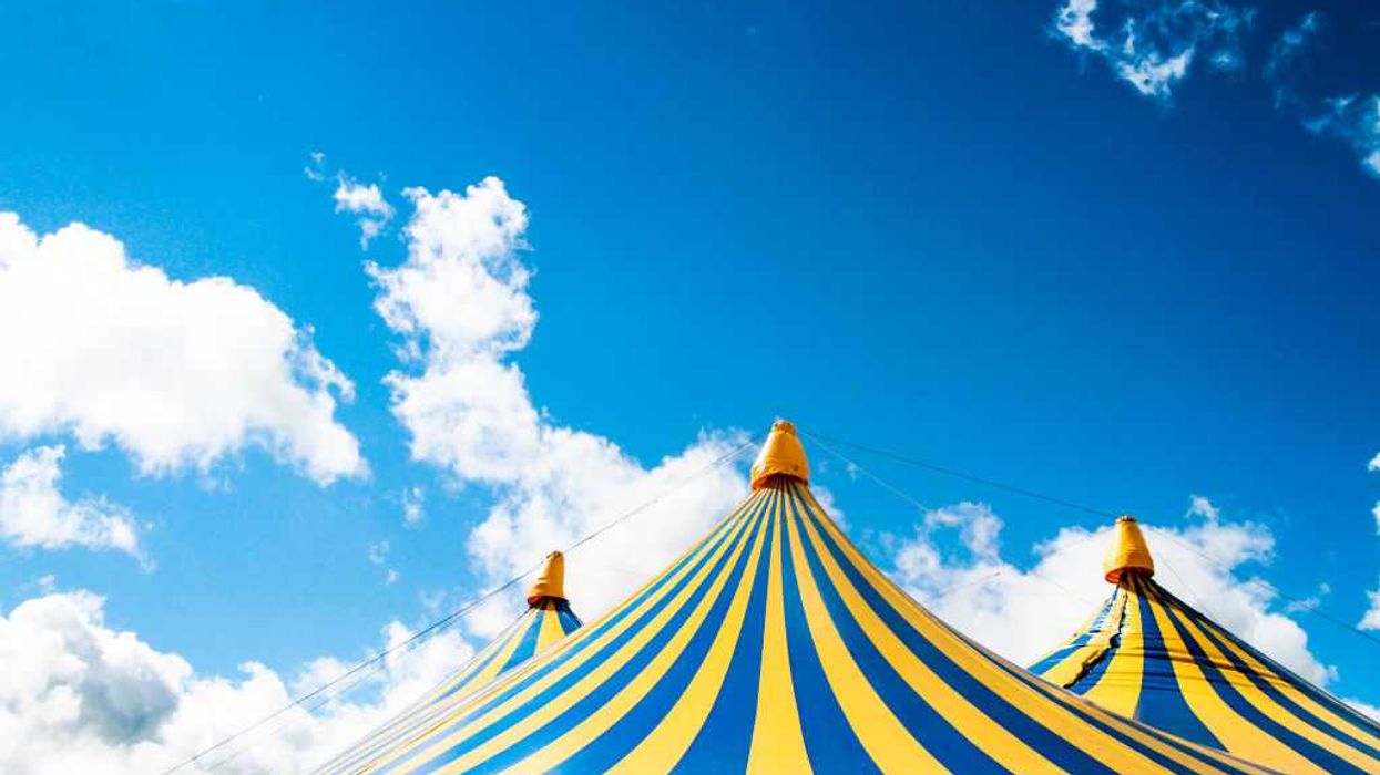 Acrobat falls to death during trapeze stunt at circus in Germany
