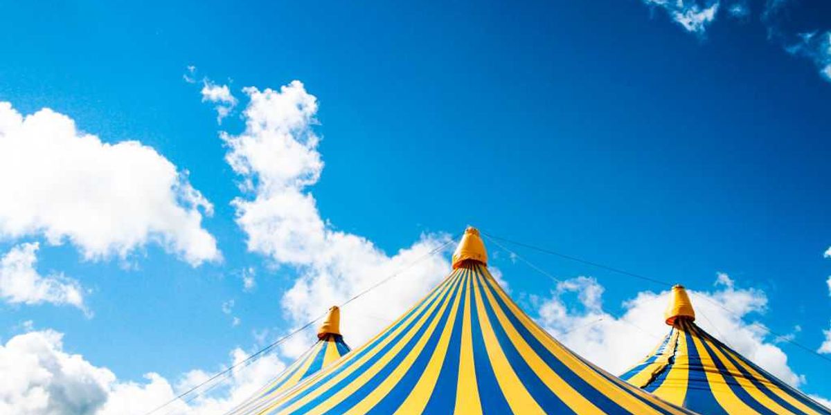 NextImg:Acrobat falls to death during trapeze stunt at circus in Germany