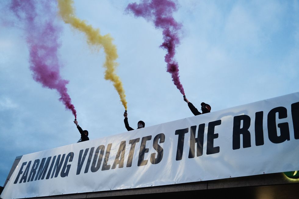 The activists hope their protest highlights 'farmed animal suffering and environmental safety concerns'.