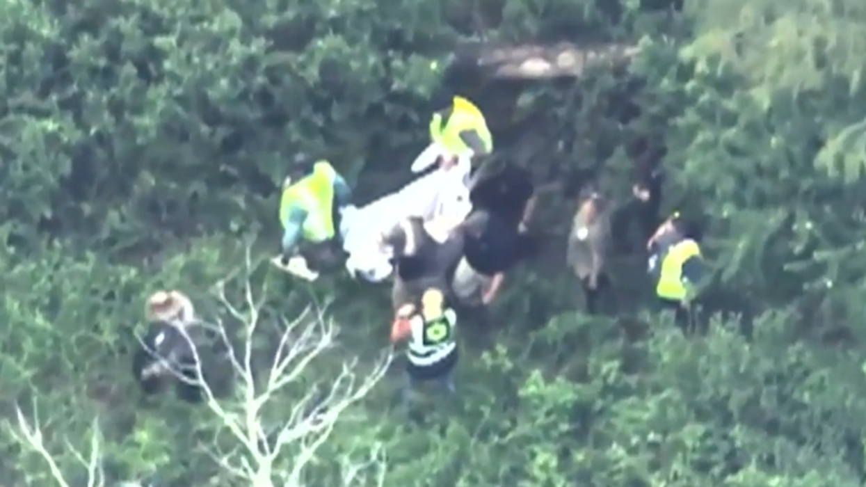 The bear was spotted being carried away in white tarp