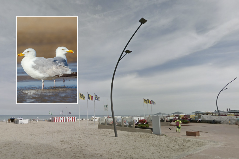 The Belgian coastal town of De Panne