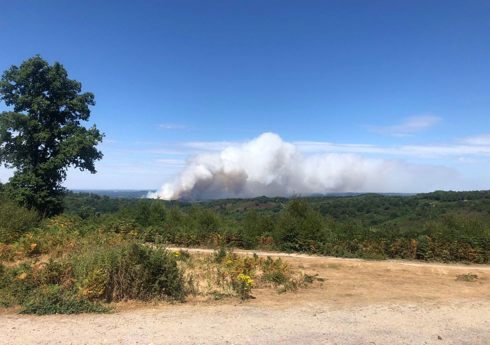 The blaze on Hankley Common