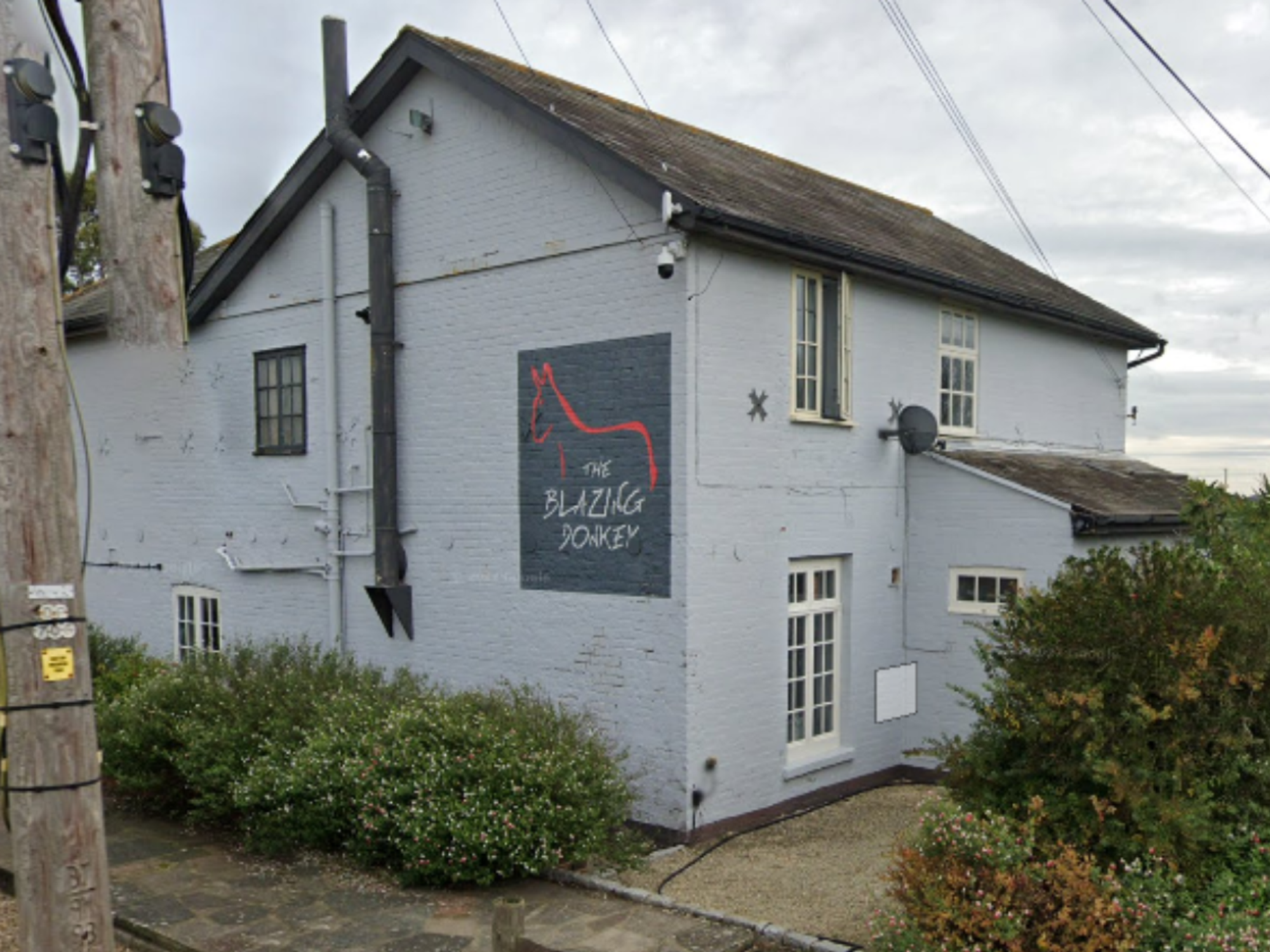 The Blazing Donkey Hotel