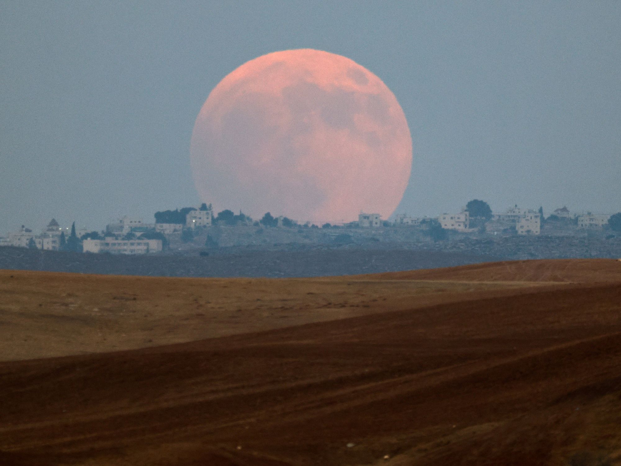 Blood moon: Best pictures from Sunday's lunar eclipse as billions look up to watch space phenomenon