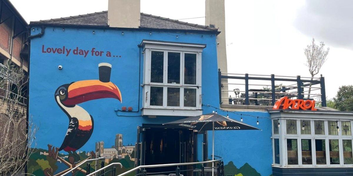 Council row erupts after iconic tourist pub forced to remove ‘eyesore’ toucan mural Council row erupts after iconic tourist pub forced to remove ‘eyesore’ toucan mural