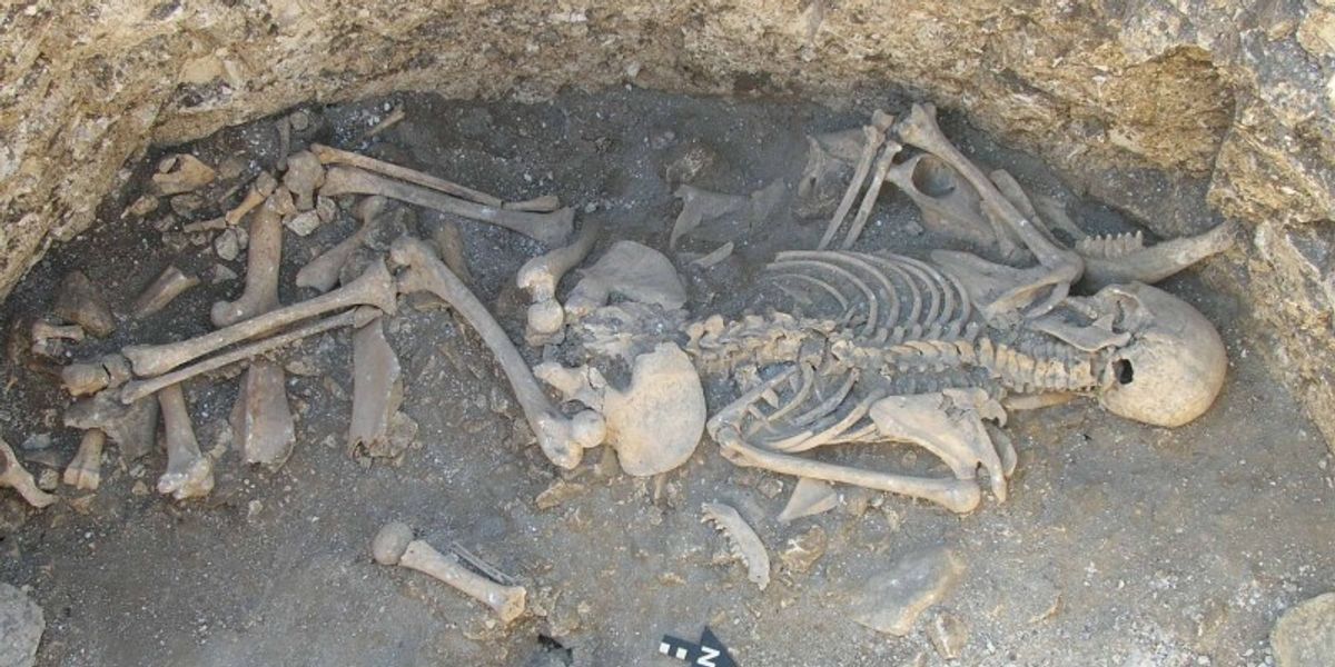 NextImg:Human remains found among pit of animal bones could have been Iron Age 'blood sacrifice', archaeologists say