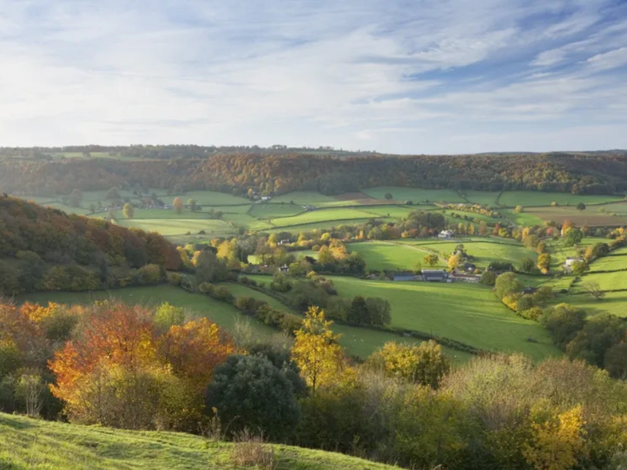 Rural England is 'too white and needs more halal food', says 'Centre for Hate Studies'