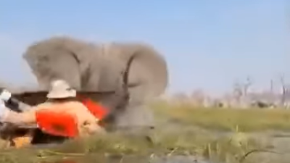 The bull elephant knocked into two of the canoes, capsizing them