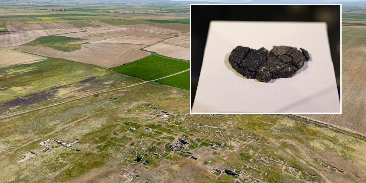 NextImg:Archaeology breakthrough as ancient loaf of bread unearthed from Bronze Age home after 5,000 years