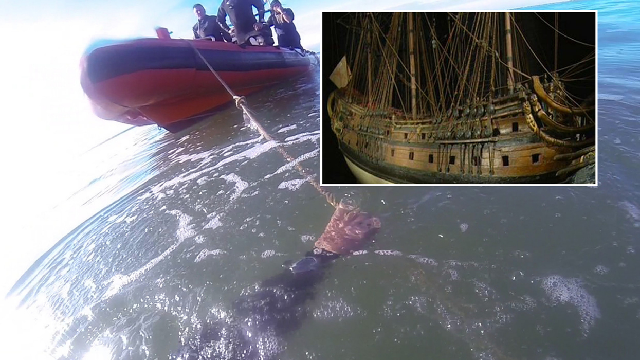 The cannon was recovered from the wreck