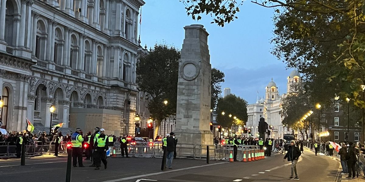 NextImg:Brits fume as Cenotaph flags 'stripped' for 'cleaning' as 'baying mob' continues pro-Palestine protests