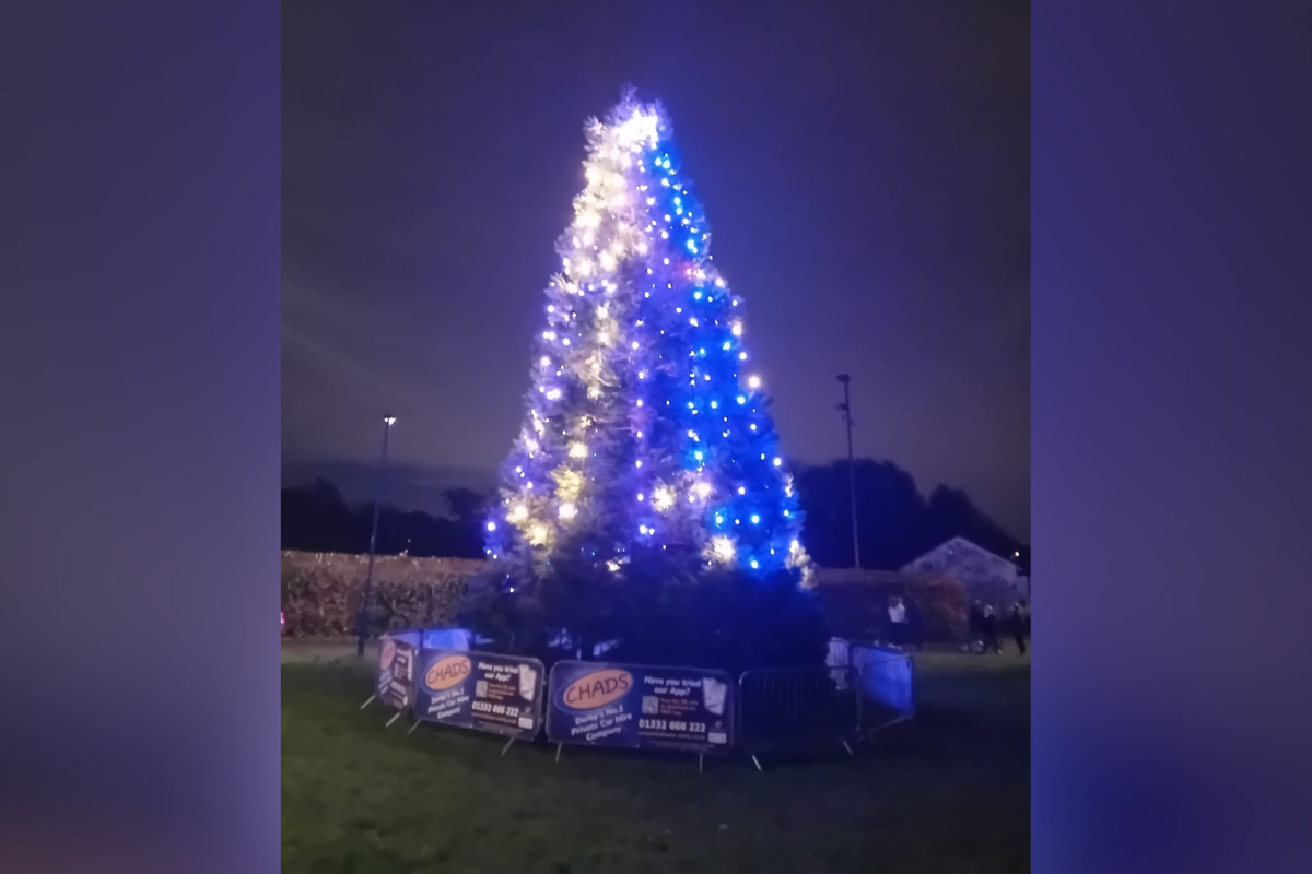 The Chaddesden Christmas tree