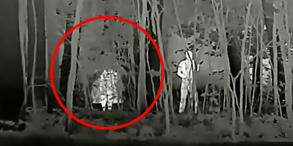 NextImg:Russia flaunts new 'invisibility cloak' technology to hide troops after fixing major flaw