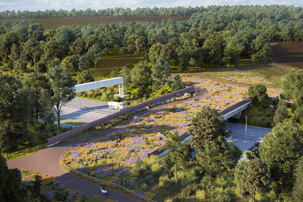 The Cockcrow Bridge spans the A3 near Cobham