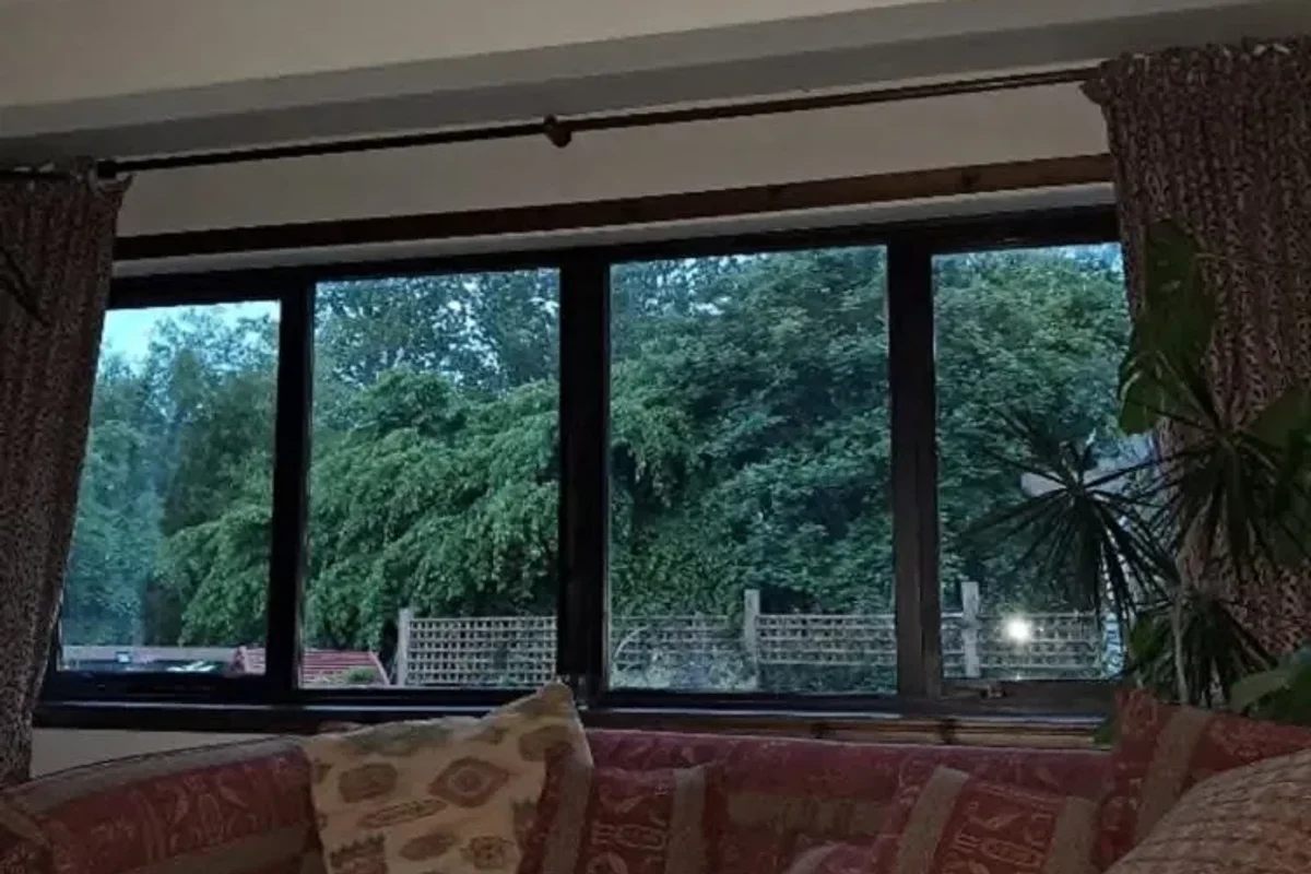 The couple maintains that the vegetation creates a 'substantial barrier' preventing natural light from entering their residence and outdoor space