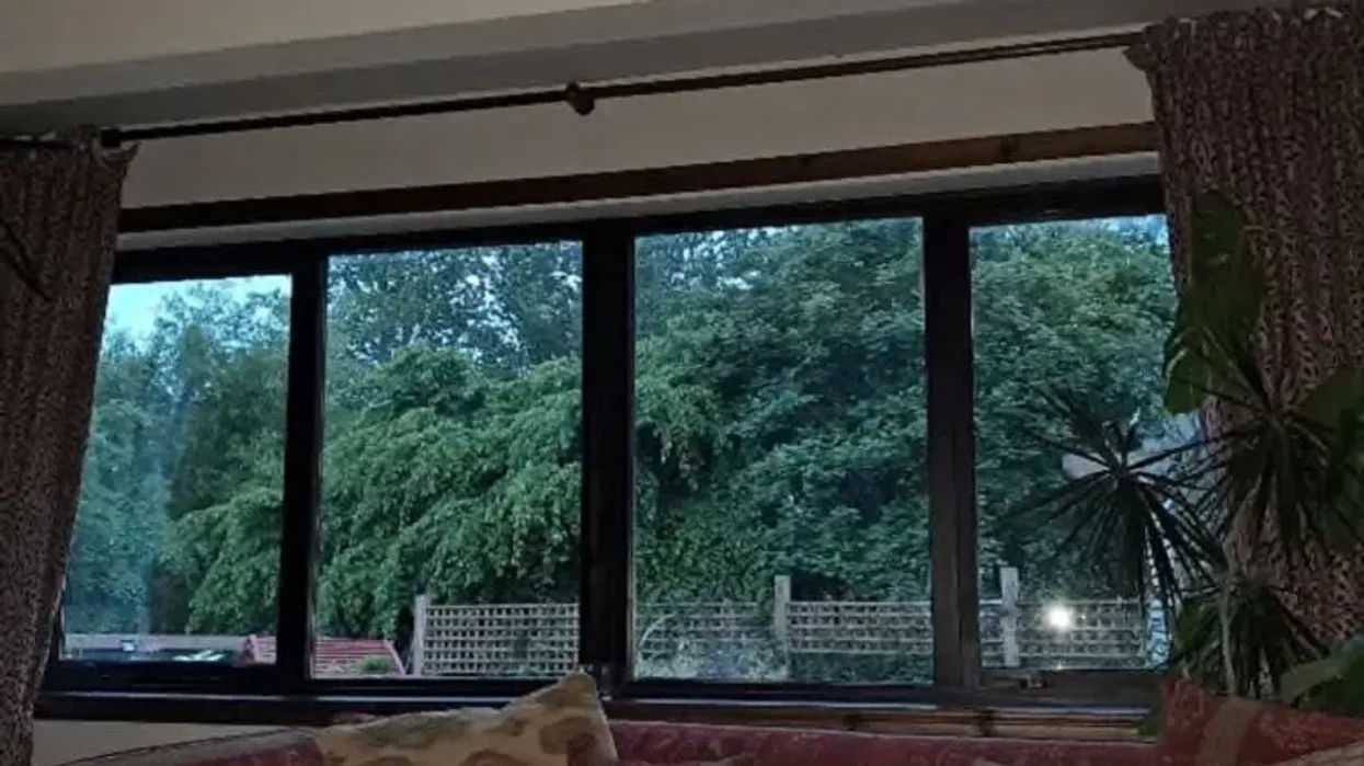 The couple maintains that the vegetation creates a 'substantial barrier' preventing natural light from entering their residence and outdoor space