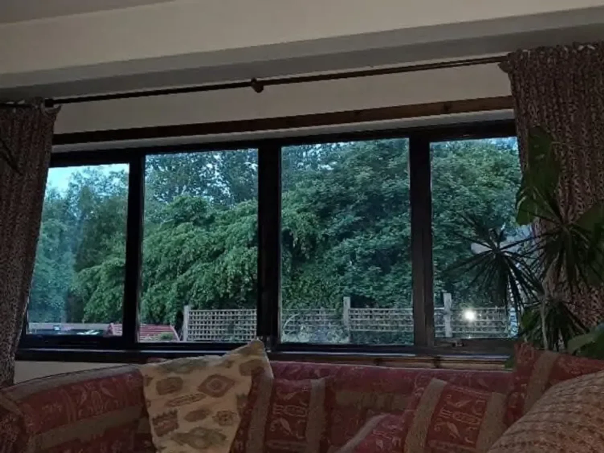 The couple maintains that the vegetation creates a 'substantial barrier' preventing natural light from entering their residence and outdoor space