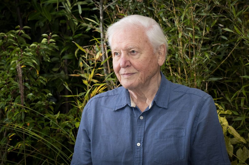 The David Attenborough series Our Planet has helped Netflix contribute more than \u00a3132 million to the economy in the south west of England, the streaming service has said.