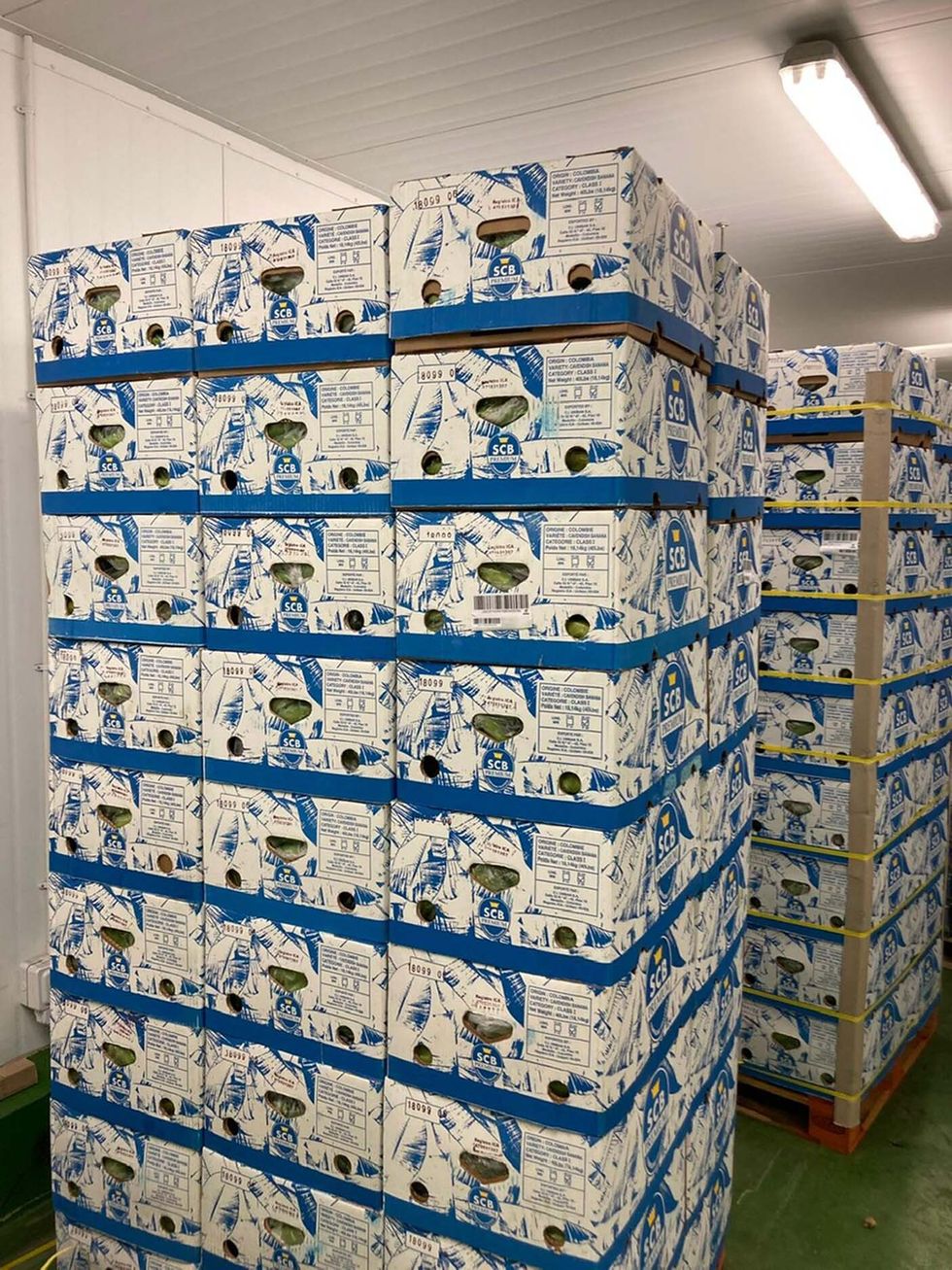 The discovery has been described as a 'huge blow' to the smugglers.